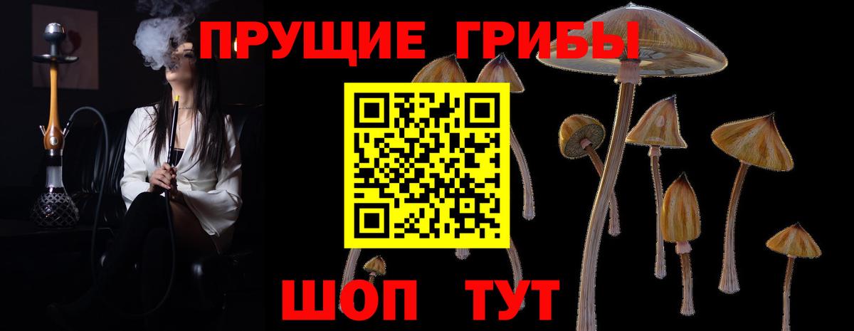 Галлюциногенные грибы ЛСД  Вход с VPN  Петрозаводск 