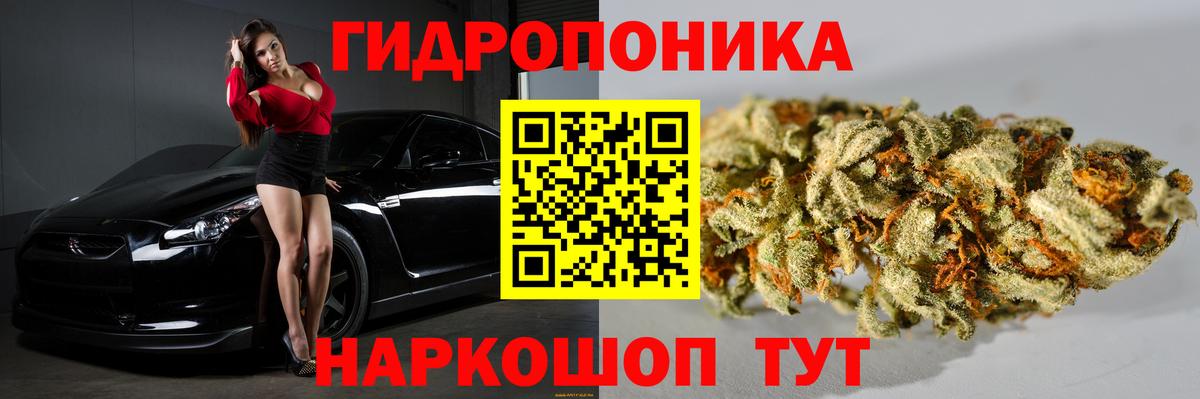 Каннабис OG Kush  Бошки марихуана конопля  Вход с VPN  МАРИХУАНА сатива  Петрозаводск  Канабис конопля 